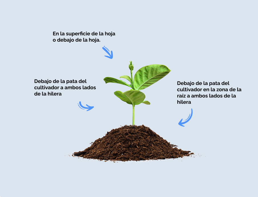 Sistema de atomización de precisión LINUS-O